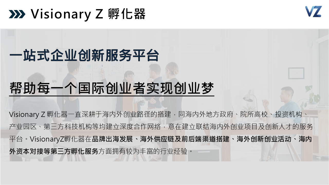 Visionary Z 孵化器